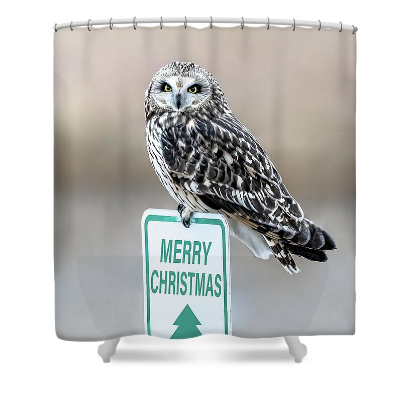 Short Eared Owl Shower Curtain featuring the photograph Merry Christmas Shorty by James Overesch