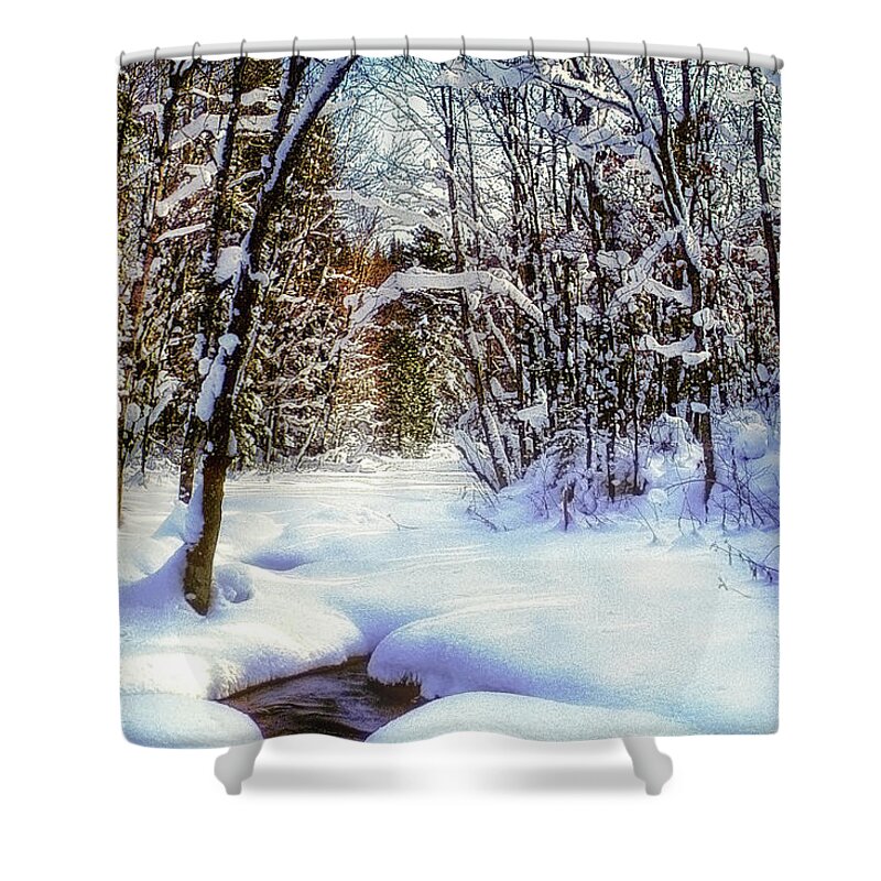 Photographs Shower Curtain featuring the photograph Michigan Snowscene by John A Rodriguez
