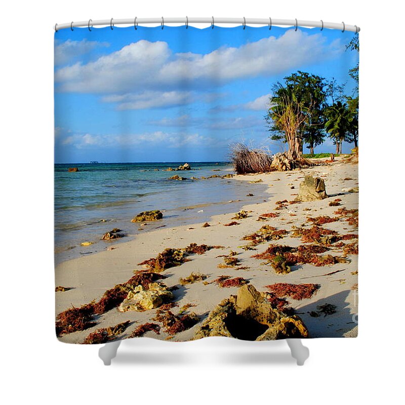 Beach Shower Curtain featuring the photograph Micro Beach by On da Raks