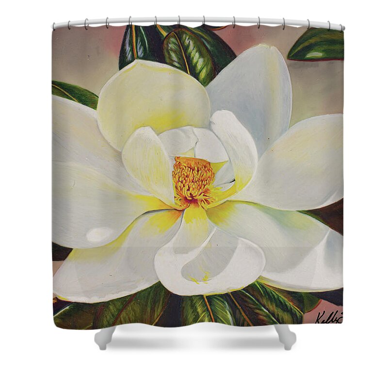 Magnolia Shower Curtain featuring the drawing Mid-day Magnolia by Kelly Speros