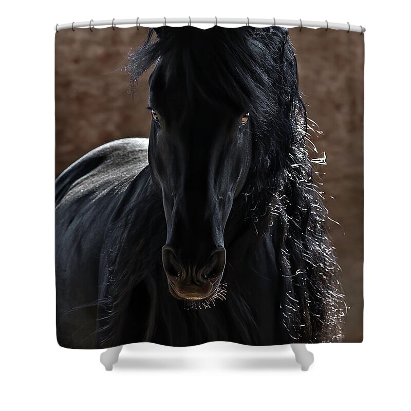 Midnight Magic Shower Curtain featuring the photograph Midnight Magic by Wes and Dotty Weber