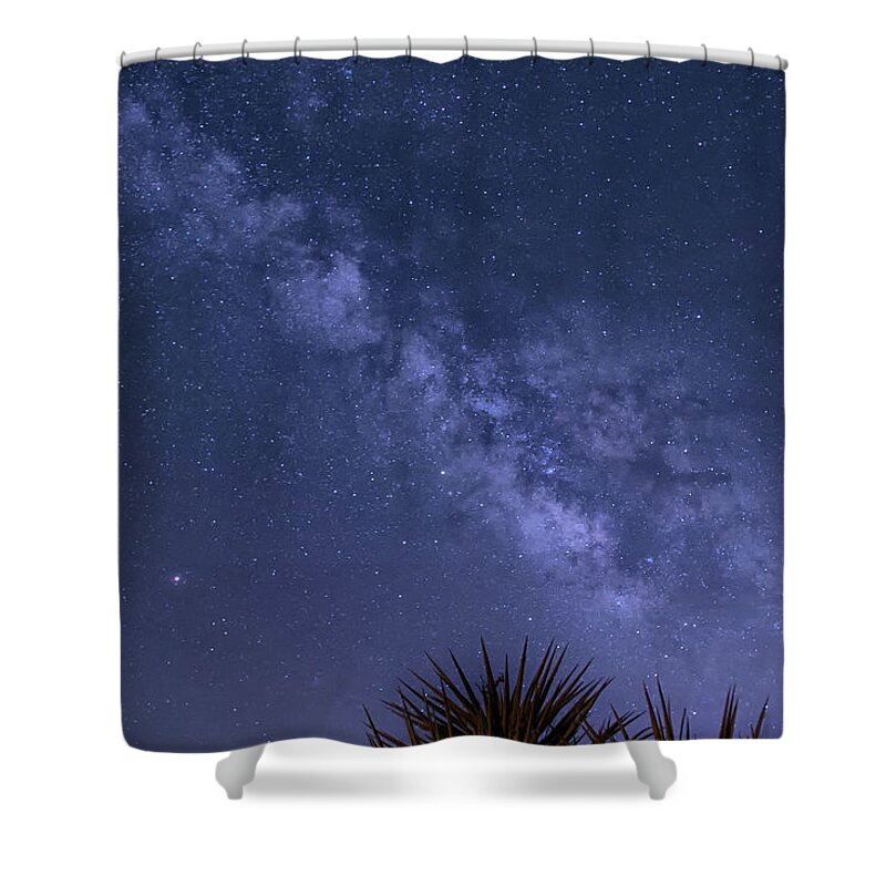 Milky Way Shower Curtain featuring the photograph Milky Way Over the Desert by Lisa Chorny