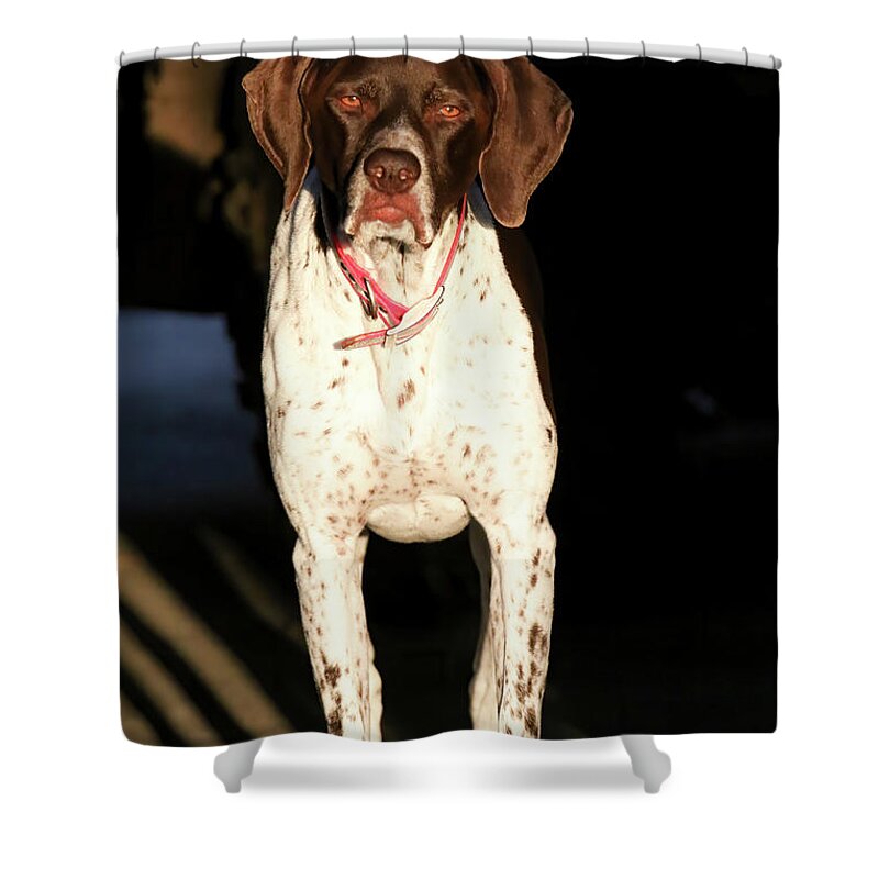 Gsp Shower Curtain featuring the photograph Millie by Brook Burling