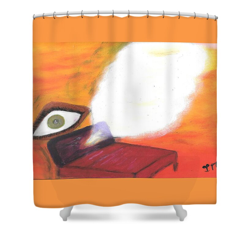 Meditation Shower Curtain featuring the painting Mind's Eye by Esoteric Gardens KN