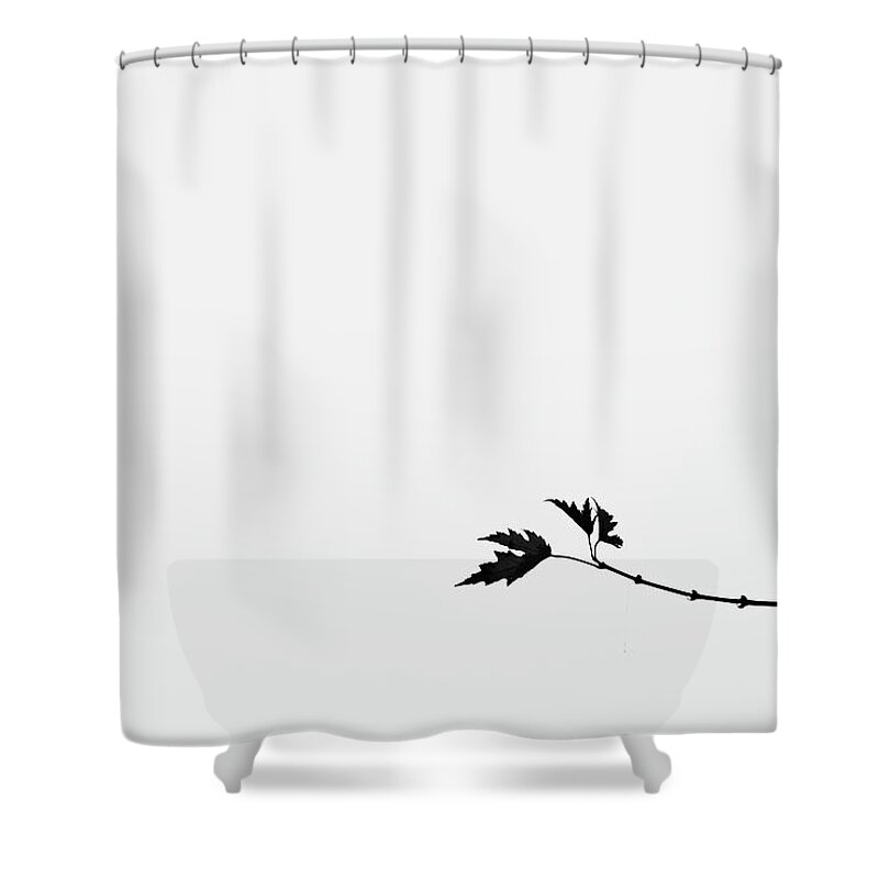 Black And White Shower Curtain featuring the photograph Minimal Black and White Leaf on Branch by Martin Vorel Minimalist Photography
