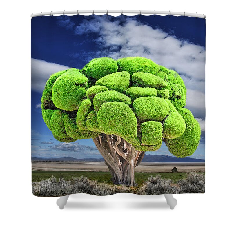 Tree Shower Curtain featuring the photograph Miracle Tree by Harry Spitz