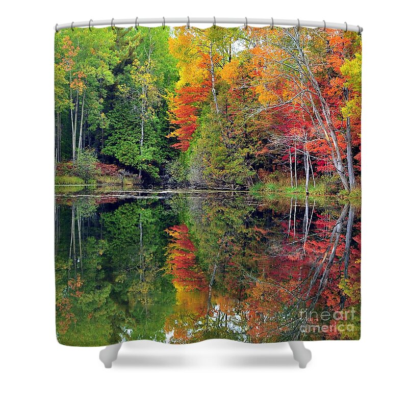Autumn Shower Curtain featuring the photograph Mirror Mirror by Terri Gostola