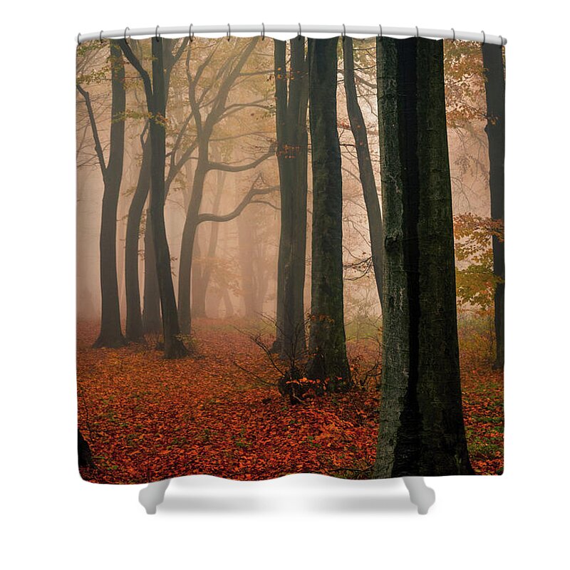 Balkan Mountains Shower Curtain featuring the photograph Misty Autumn Forest by Evgeni Dinev