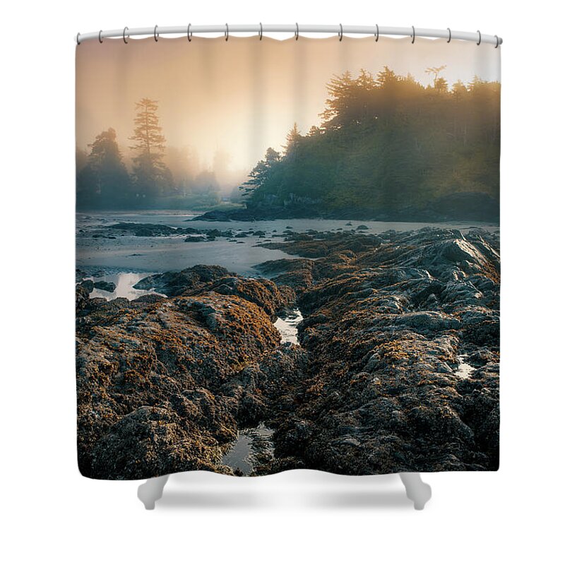 Mist Shower Curtain featuring the photograph Misty Morning at Mackenzie Beach by Naomi Maya