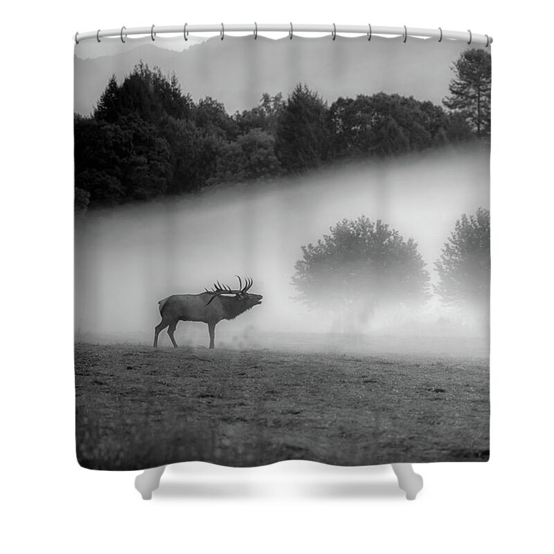 Great Smoky Mountains National Park Shower Curtain featuring the photograph Misty Morning in the Park by Robert J Wagner