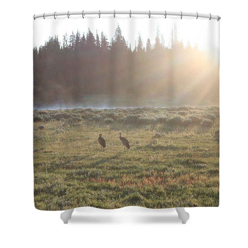 Mist Shower Curtain featuring the photograph Misty morning by Yvonne M Smith
