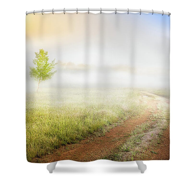 Tree Shower Curtain featuring the photograph Misty Sunrise On Country Roads by Jordan Hill