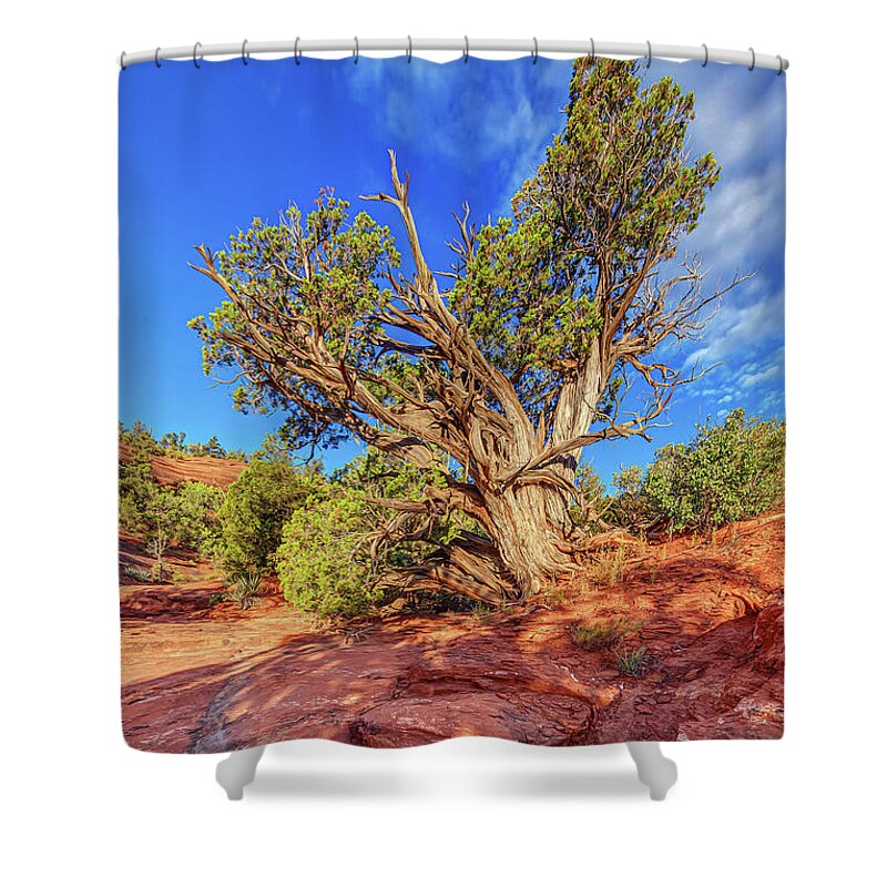 Juniper Tree Shower Curtain featuring the photograph Momentum of Freedom by ABeautifulSky Photography by Bill Caldwell