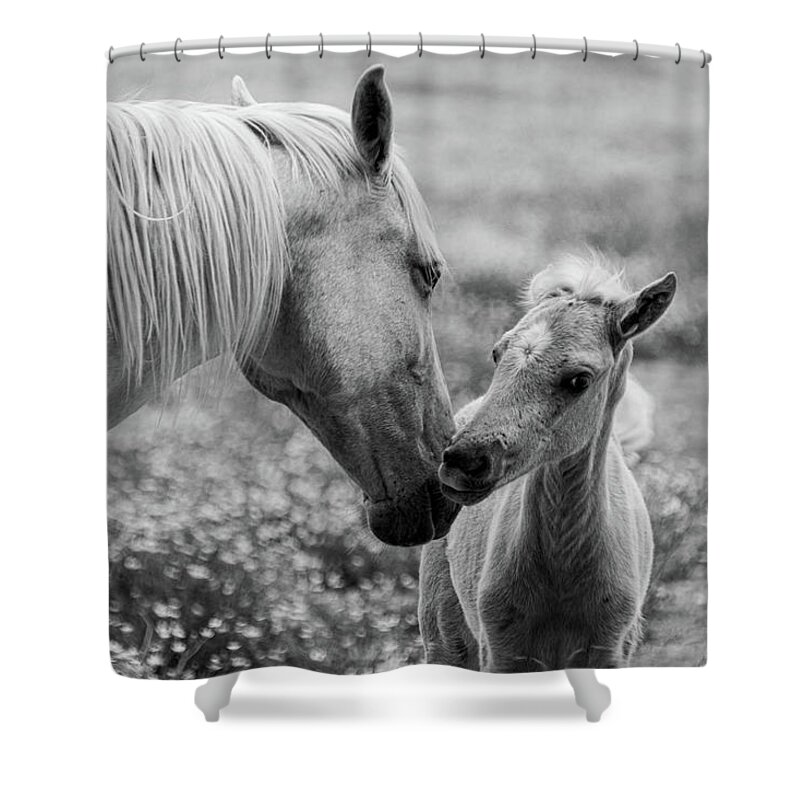 Horse Shower Curtain featuring the photograph Momma's kisses are best by Jamie Tyler