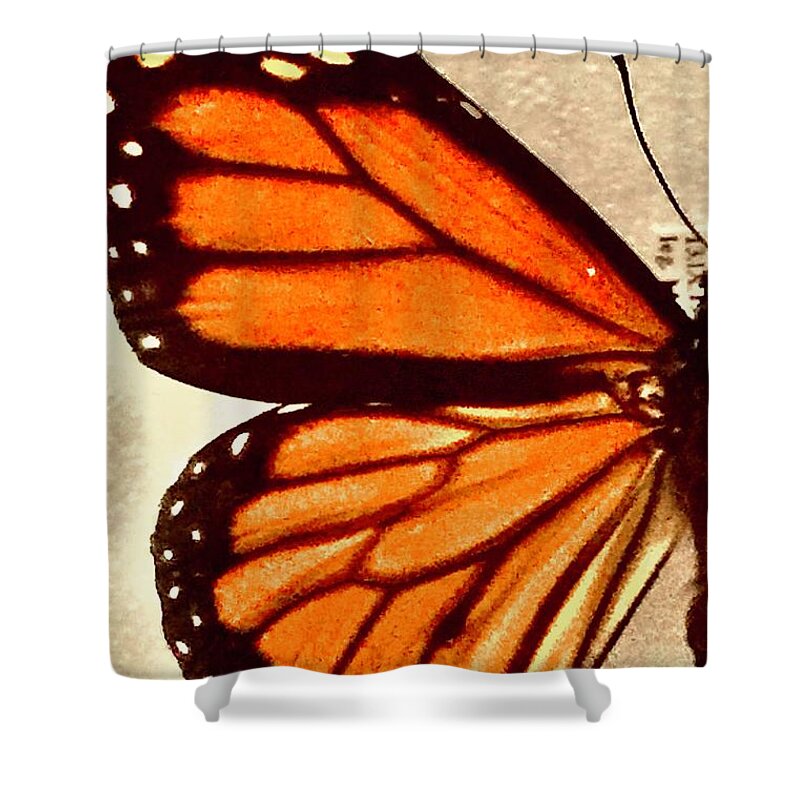 Butterfly Shower Curtain featuring the photograph Monarch by Kerry Obrist