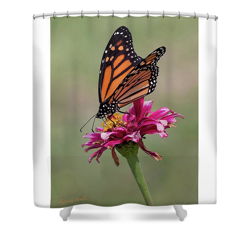 Monarch Shower Curtain featuring the photograph Monarch by Rebecca Samler