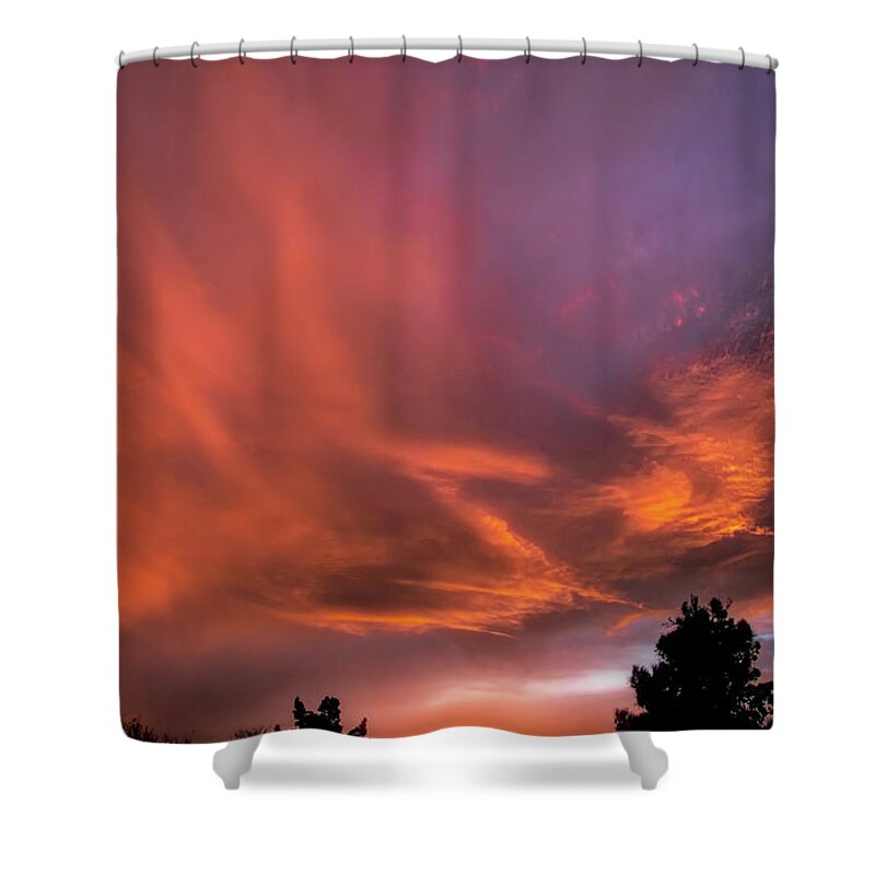 Sun Shower Curtain featuring the photograph Money Shot by Elaine Malott