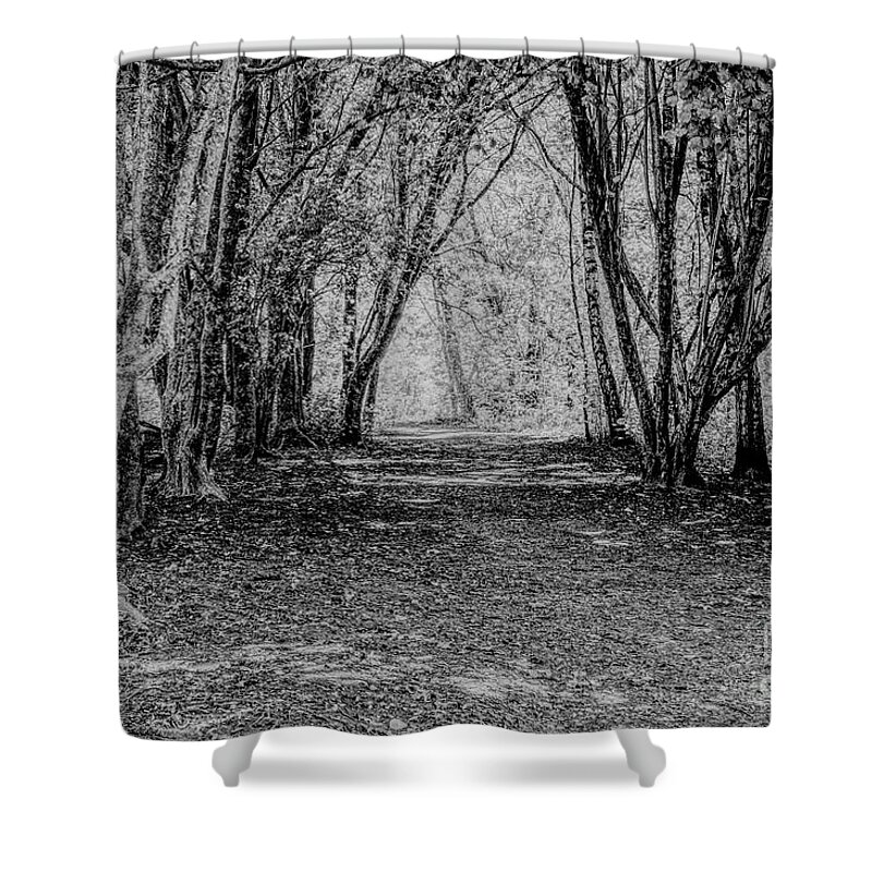 Monochrome Shower Curtain featuring the photograph Monochrome tree-lined path by Pics By Tony
