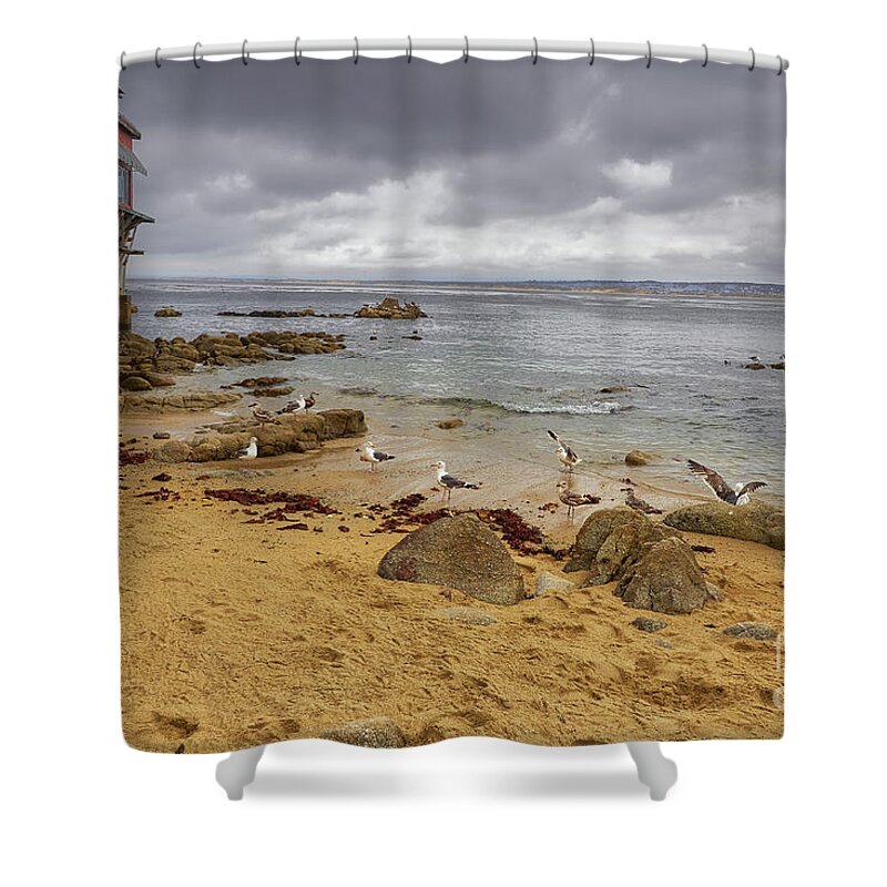 Monterey Shower Curtain featuring the photograph Monterey Bay by Steve Ondrus