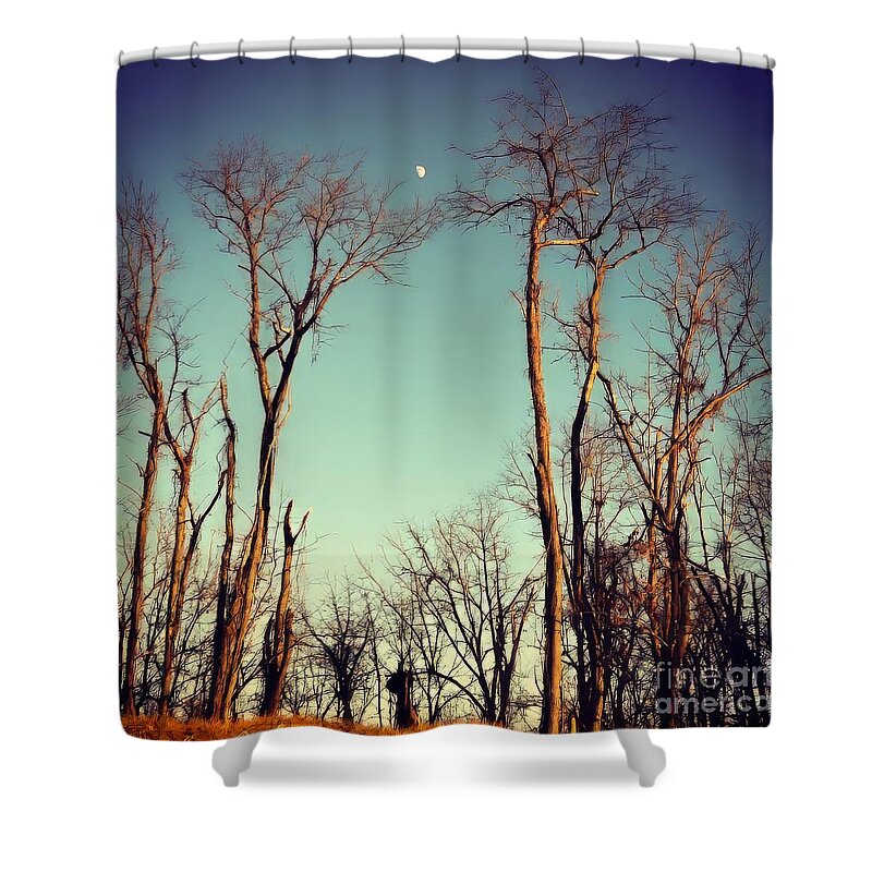 Moon Shower Curtain featuring the photograph Moon Between The Trees by Kerri Farley