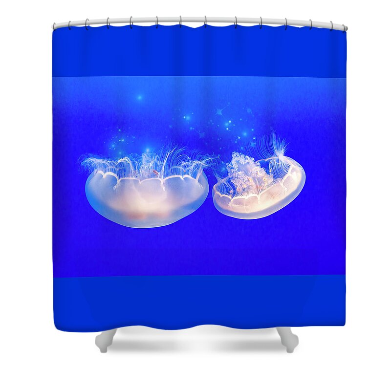 Jellyfish Shower Curtain featuring the photograph Moon Jelly Series #4 by Patti Deters