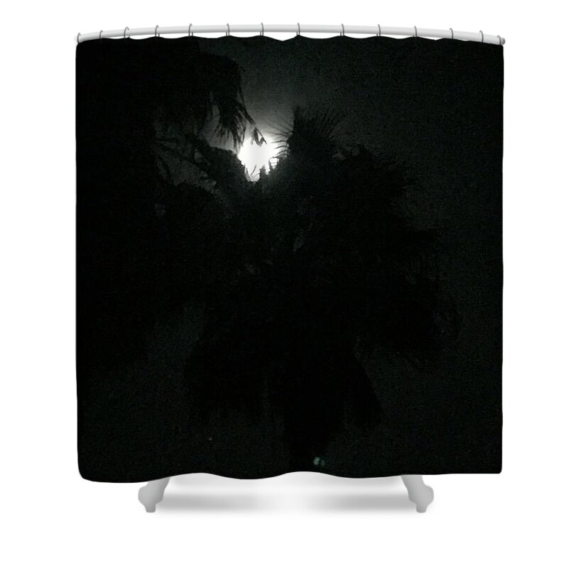 Jamaica Shower Curtain featuring the photograph Moon Over Jamaica by Lisa White
