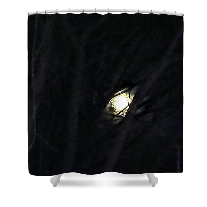 Moon Shower Curtain featuring the photograph Moonlight in Virginia by Suzanne Berthier