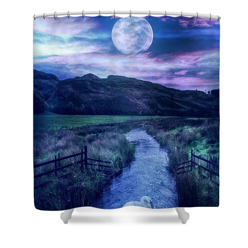 Animals Shower Curtain featuring the photograph Moonlight on the Swans in Blues by Debra and Dave Vanderlaan