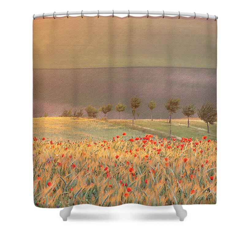 Europe Czech Republic Moravia Fields Rolling Fields Spring Sunrise Poppies Crops Rye Sunlight Impression Trees Shower Curtain featuring the photograph Moravian impression by Piotr Skrzypiec