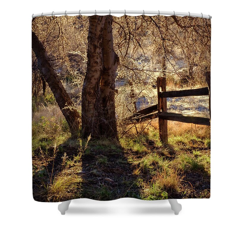 Morning Shower Curtain featuring the photograph Morning at Half Moon Ranch Dragoon Mountains by Mary Lee Dereske