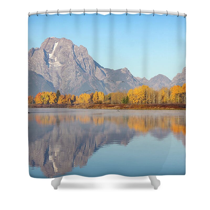 Canada Goose Shower Curtain featuring the photograph Morning at Oxbow Bend by Robert Carter