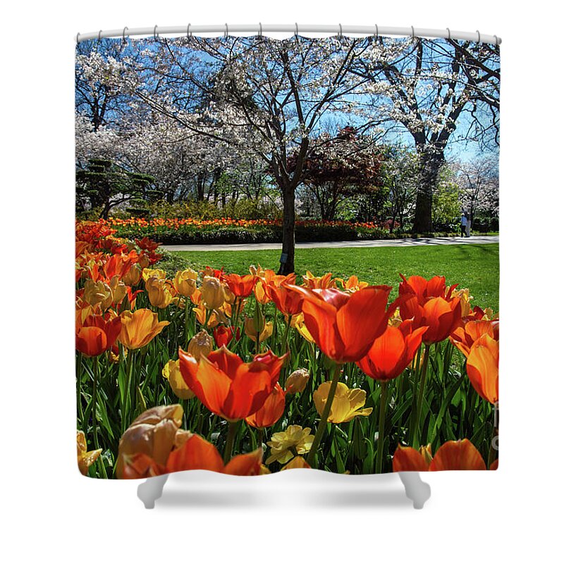 Spring Shower Curtain featuring the photograph Morning Colors by Diana Mary Sharpton