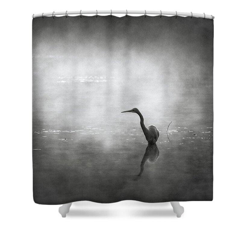 Monochrome Shower Curtain featuring the photograph Morning Hunt by Grant Galbraith