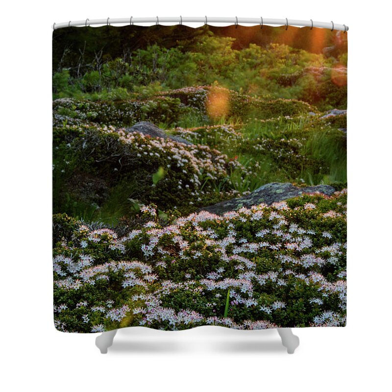 Blue Ridge Mountains Shower Curtain featuring the photograph Morning Rays by Melissa Southern
