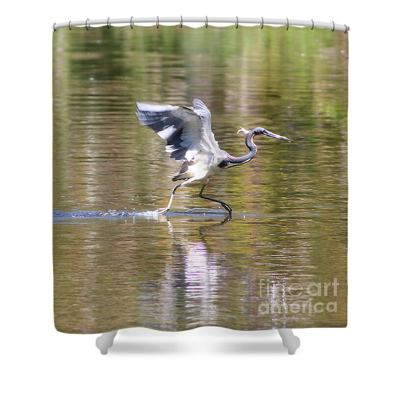 Nature Shower Curtain featuring the photograph Morning Run by Mariarosa Rockefeller