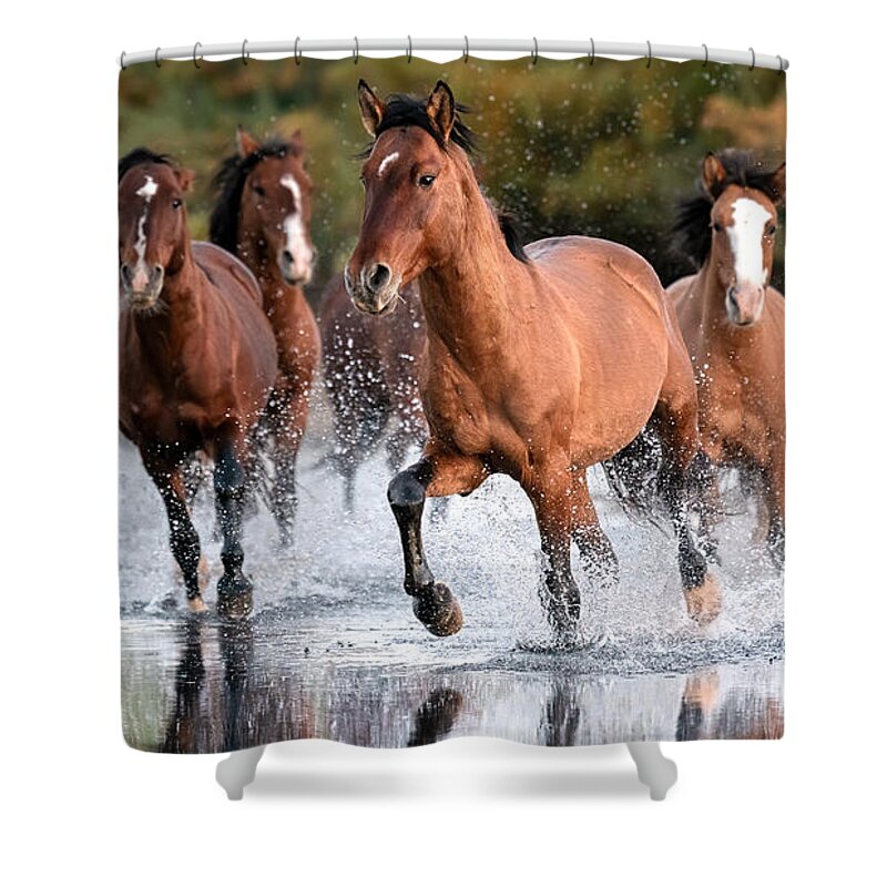 Stallion Shower Curtain featuring the photograph Morning Scamper. by Paul Martin