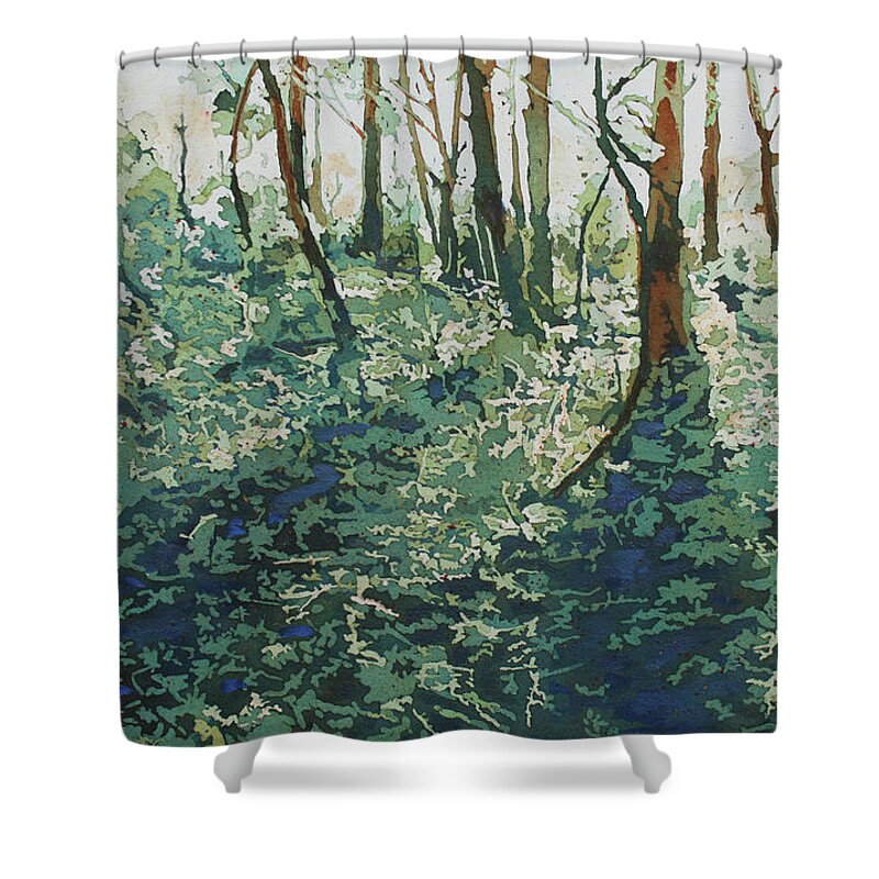 Forest Shower Curtain featuring the painting Morning Shadows by Jenny Armitage