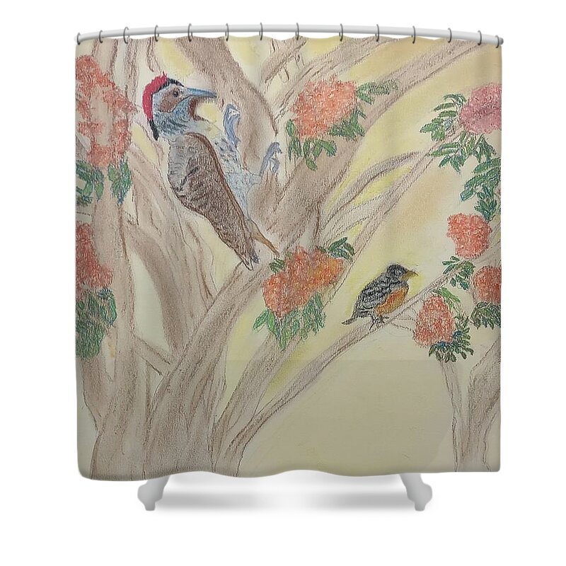 Woodpecker Shower Curtain featuring the pastel Morning Sounds by Suzanne Berthier