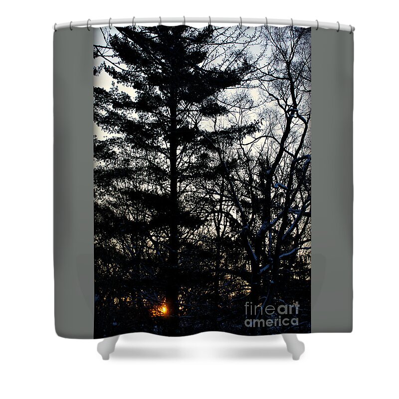 Landscape Photography Shower Curtain featuring the photograph Morning Sunrise Pine Tree Silhouette by Frank J Casella