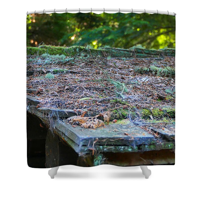 Fstop101 Forest Moss Pine Needs Abstract Nature Green Brown Shower Curtain featuring the photograph Moss and Pine Needles by Geno
