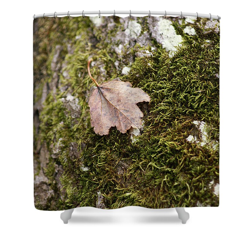  Shower Curtain featuring the photograph Moss Leaf by Heather E Harman