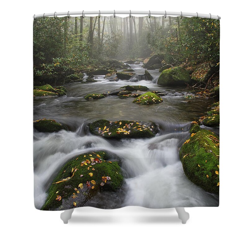 Middle Prong Trail Shower Curtain featuring the photograph Moss On Middle Prong 4 by Phil Perkins