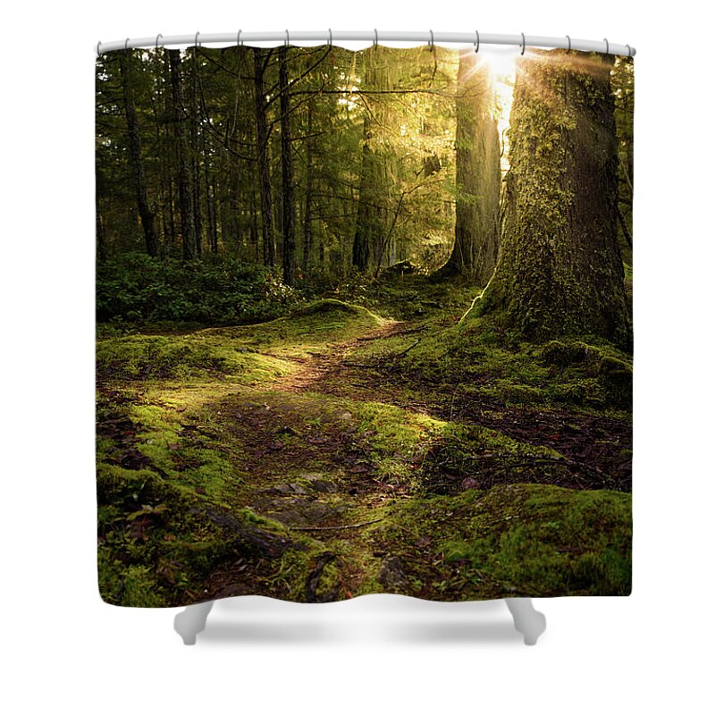 Landscape Shower Curtain featuring the photograph Mossy Forest Path by Naomi Maya