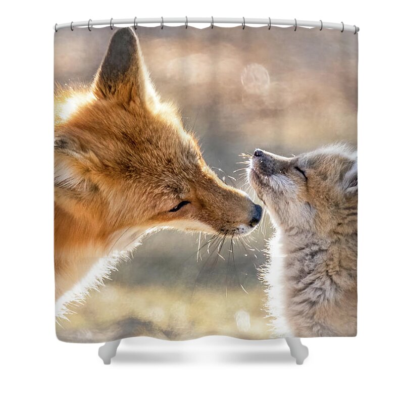 Red Fox Shower Curtain featuring the photograph Mothers Love by James Overesch