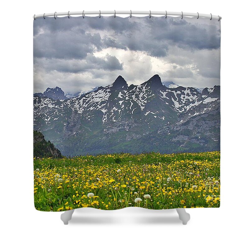 Switzerland Shower Curtain featuring the photograph Mountain Fields by Yvonne M Smith