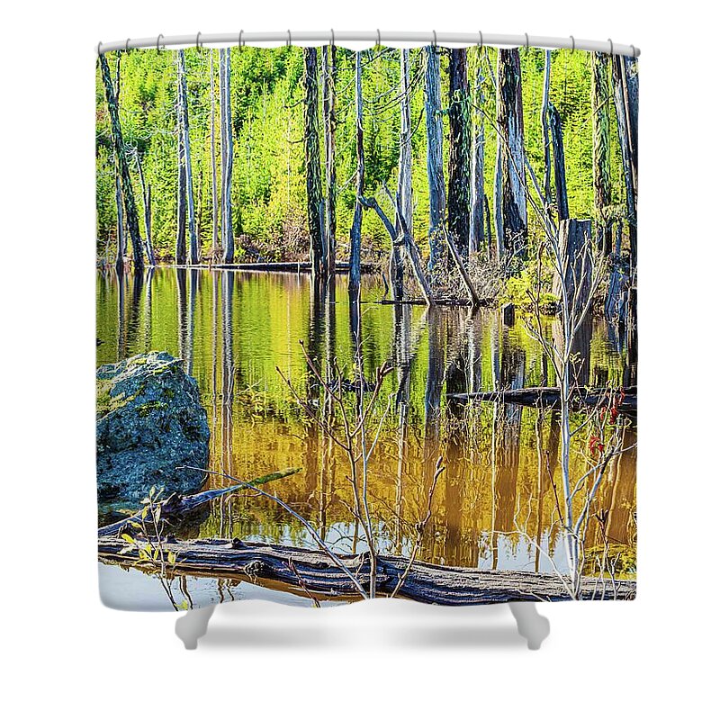 Landscapes Shower Curtain featuring the photograph Mountain Pond reflections by Claude Dalley