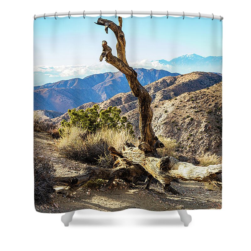 Landscape Shower Curtain featuring the photograph Mountain Top by Claude Dalley