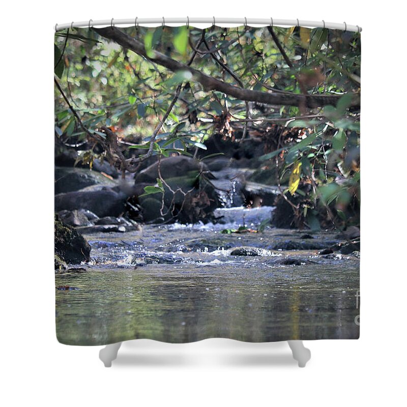 Landscape Shower Curtain featuring the photograph Mountain Water , Smoky Mountains by Theresa D Williams