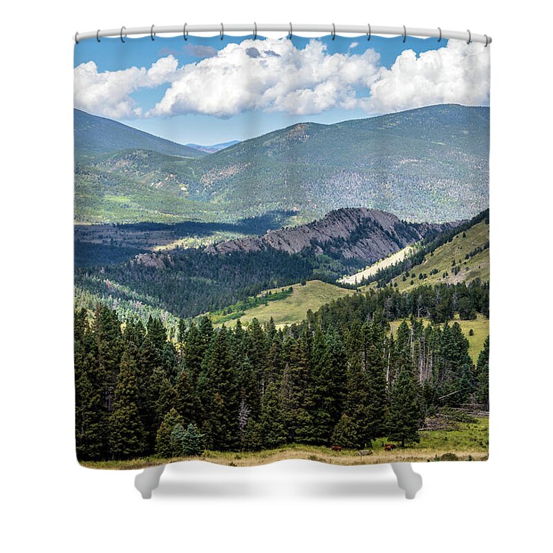Beauty In The Sky Shower Curtain featuring the photograph Mountains Forest And Volcanic Dike Colorado by Debra Martz