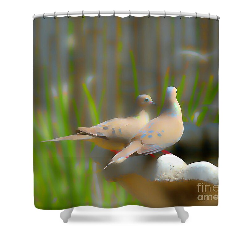 Doves Shower Curtain featuring the photograph Mourning Doves by Alison Belsan Horton
